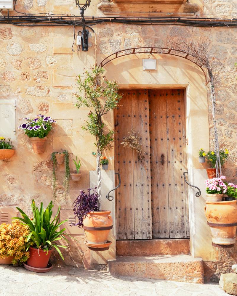 A charming rustic doorway surrounded by potted plants, flowers, and other decorative elements, set against a weathered stone wall in a picturesque Mediterranean-style setting.
