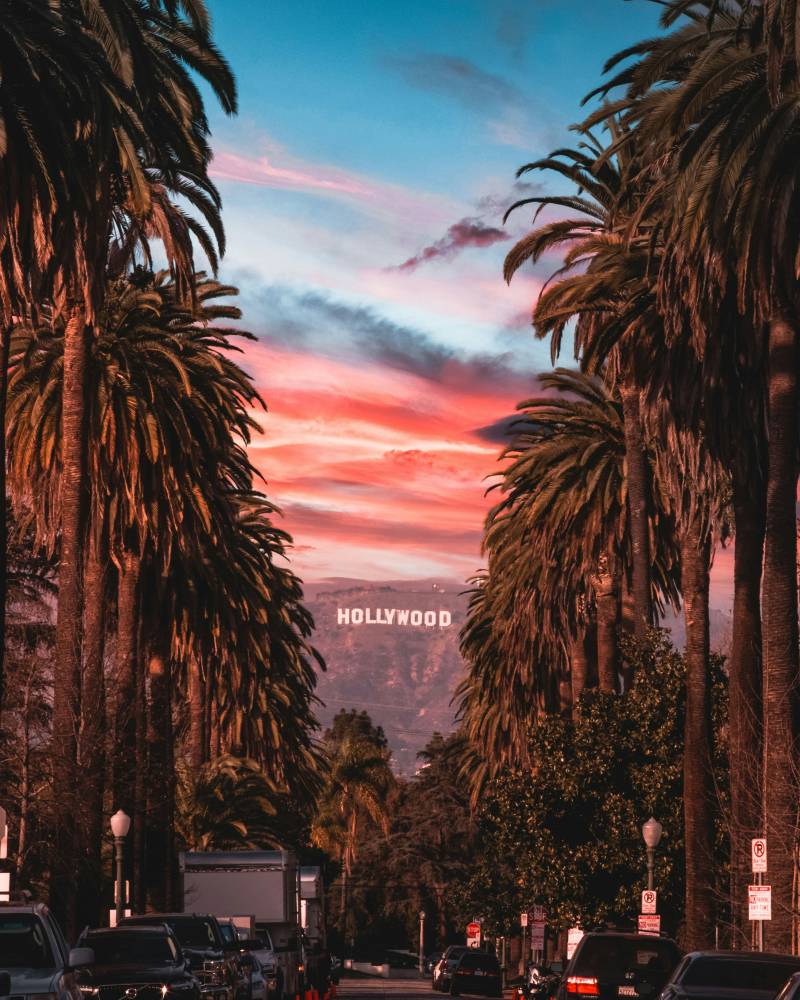 Tall palm trees line a street with cars in the foreground, leading to the iconic Hollywood sign in the distance under a vibrant sunset sky.