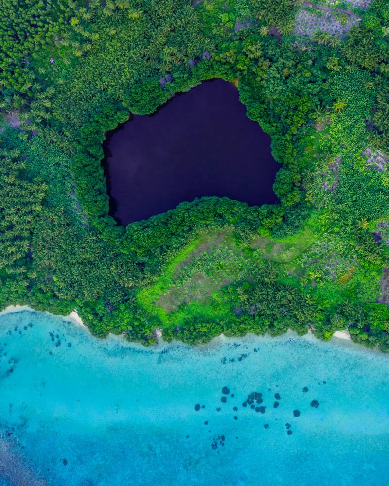A dark, irregularly shaped pond is nestled within a dense green forest, bordered by a white sandy beach and the vibrant turquoise ocean.