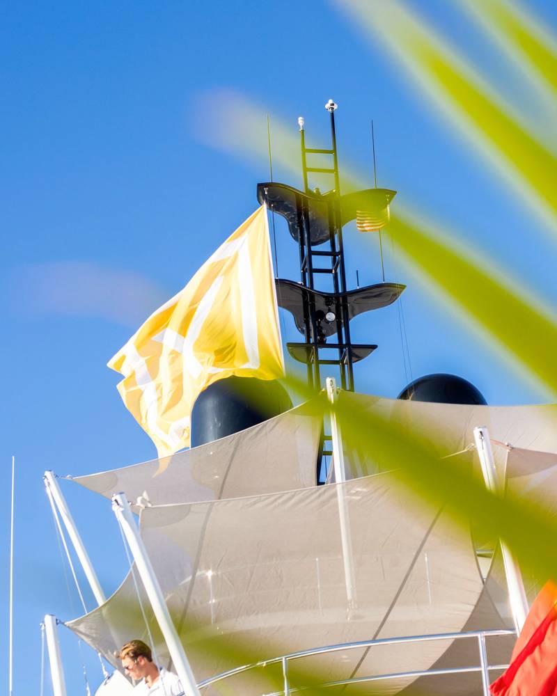 Green palm fronds frame a yellow flag flying from the mast of a yacht against a clear blue sky.
