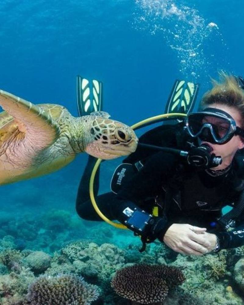 A diver swims alongside a sea turtle over a vibrant coral reef in the clear blue ocean.