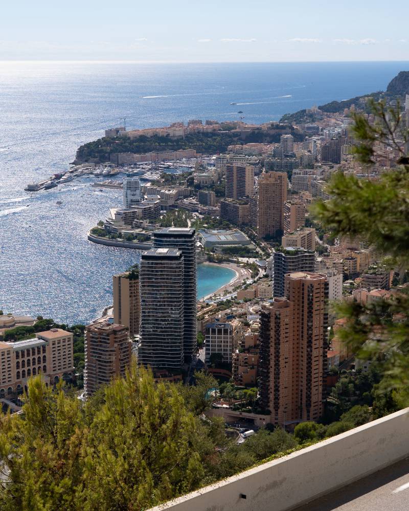 Green trees and a road in the foreground overlook a bustling coastal city with a bright blue ocean in the background.