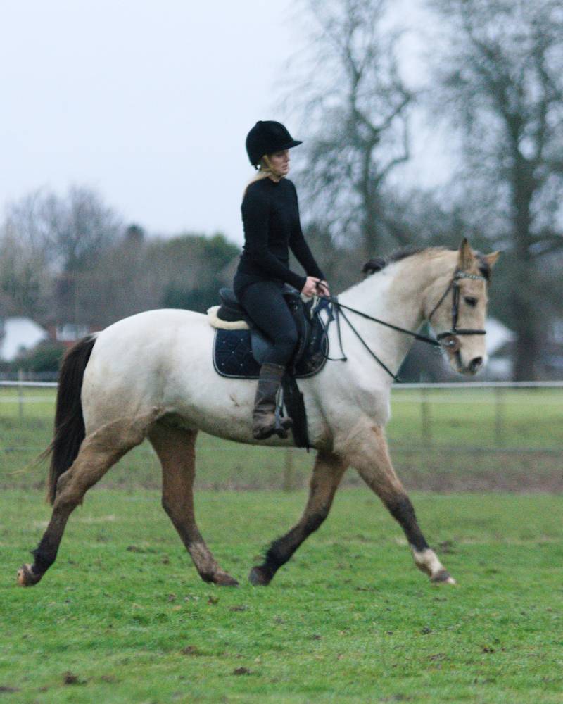 A person in a black outfit rides a light-colored horse across a grassy field with trees and houses in the background.