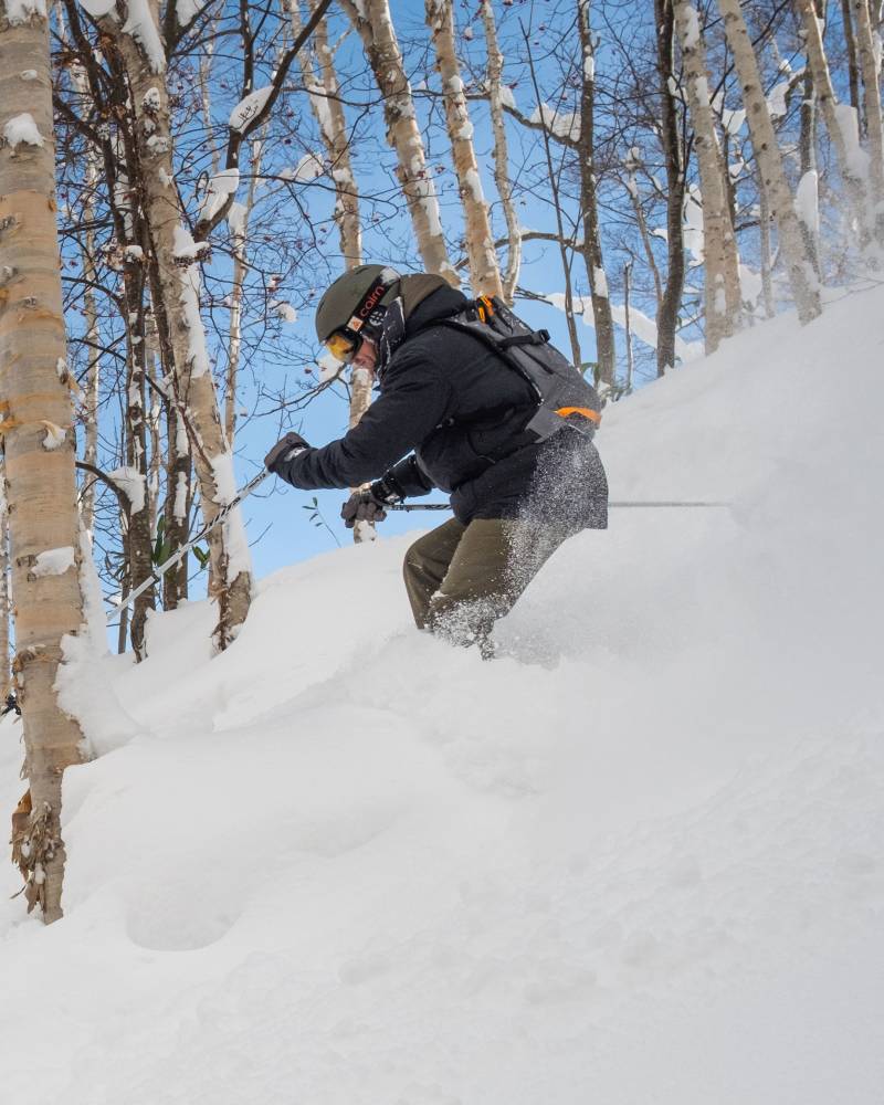 A skier carves through fresh powder in a snowy forest with a bright blue sky overhead.