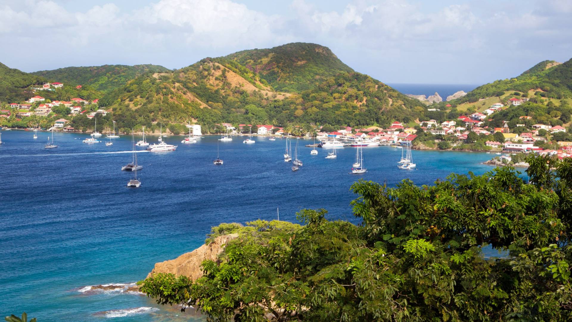 Bays, Forests and Creole Culture
