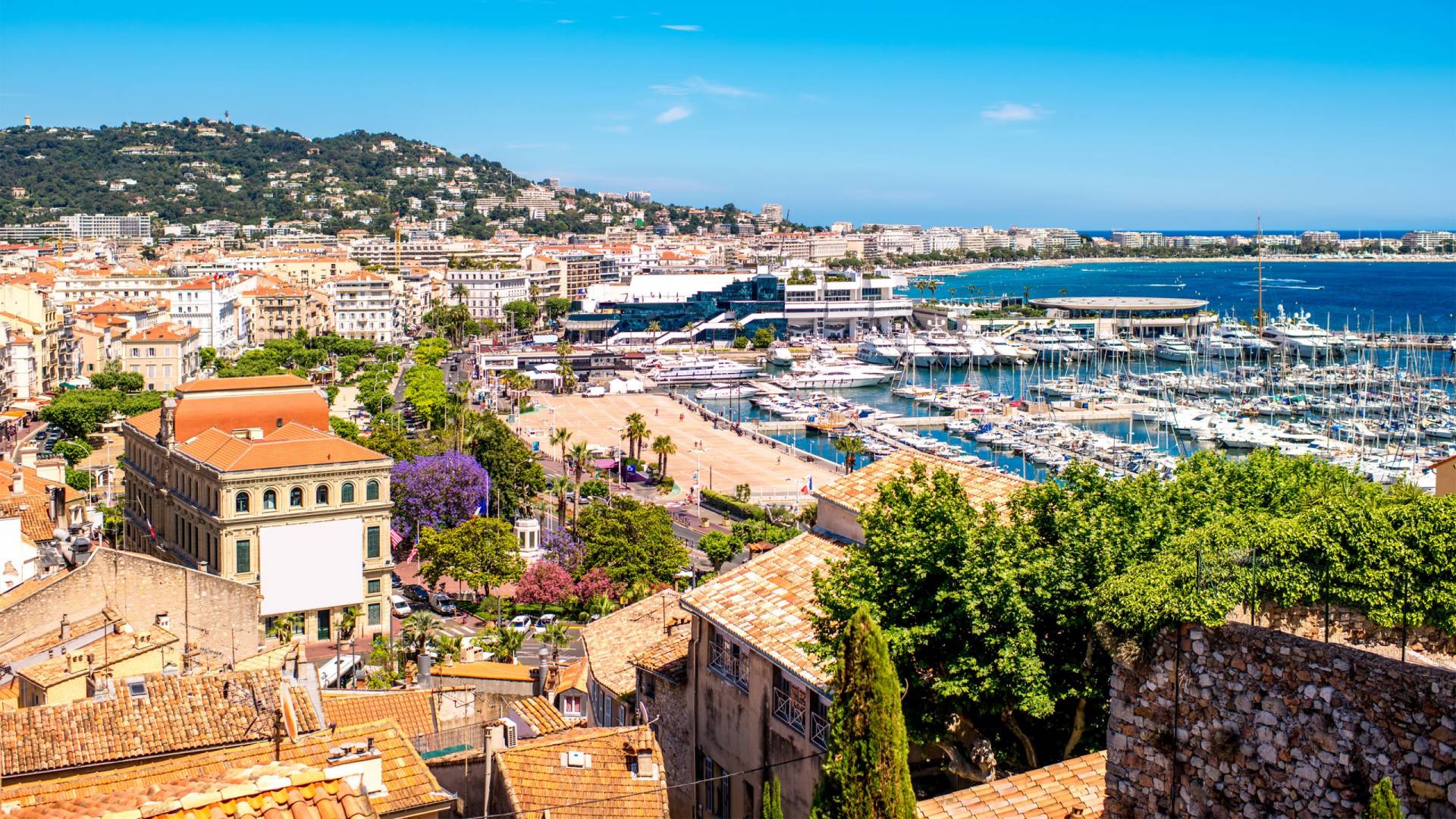 A vibrant cityscape unfolds with a bustling harbor filled with yachts, overlooking a lush green hillside dotted with homes under a clear blue sky.