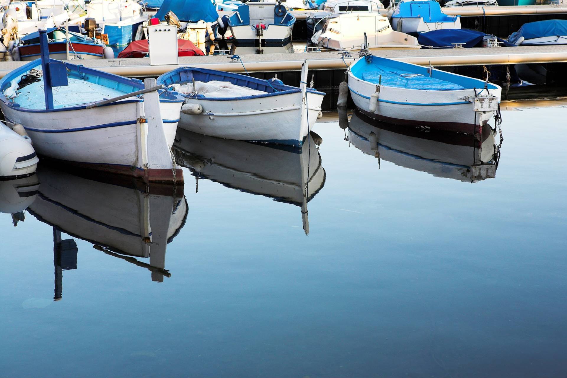Tranquil blue waters reflect a row of charming white and blue boats docked at a sunny marina.