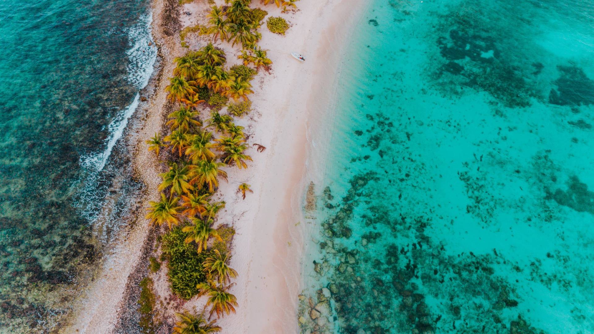 An aerial view captures a pristine tropical island with lush palm trees, white sand beaches, and crystal-clear turquoise waters.