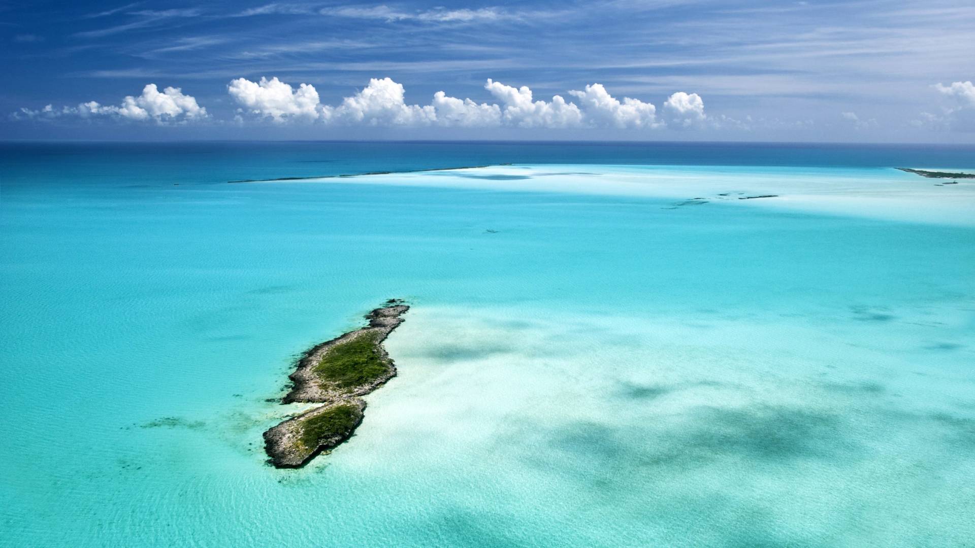 Reefs, Wrecks and Rays