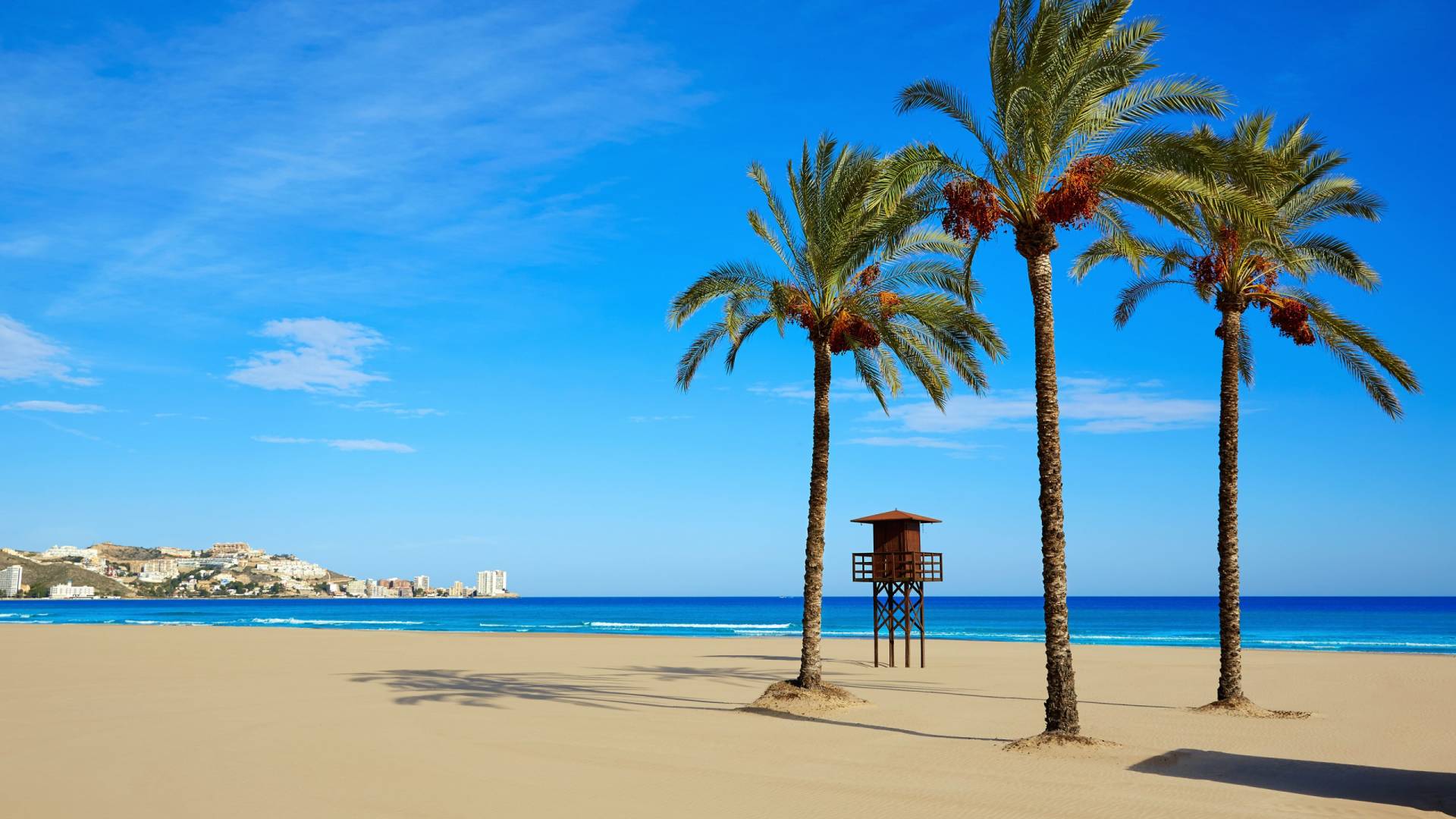 Palm trees cast shadows on a sandy beach overlooking the vibrant blue Mediterranean Sea and a distant coastal city.