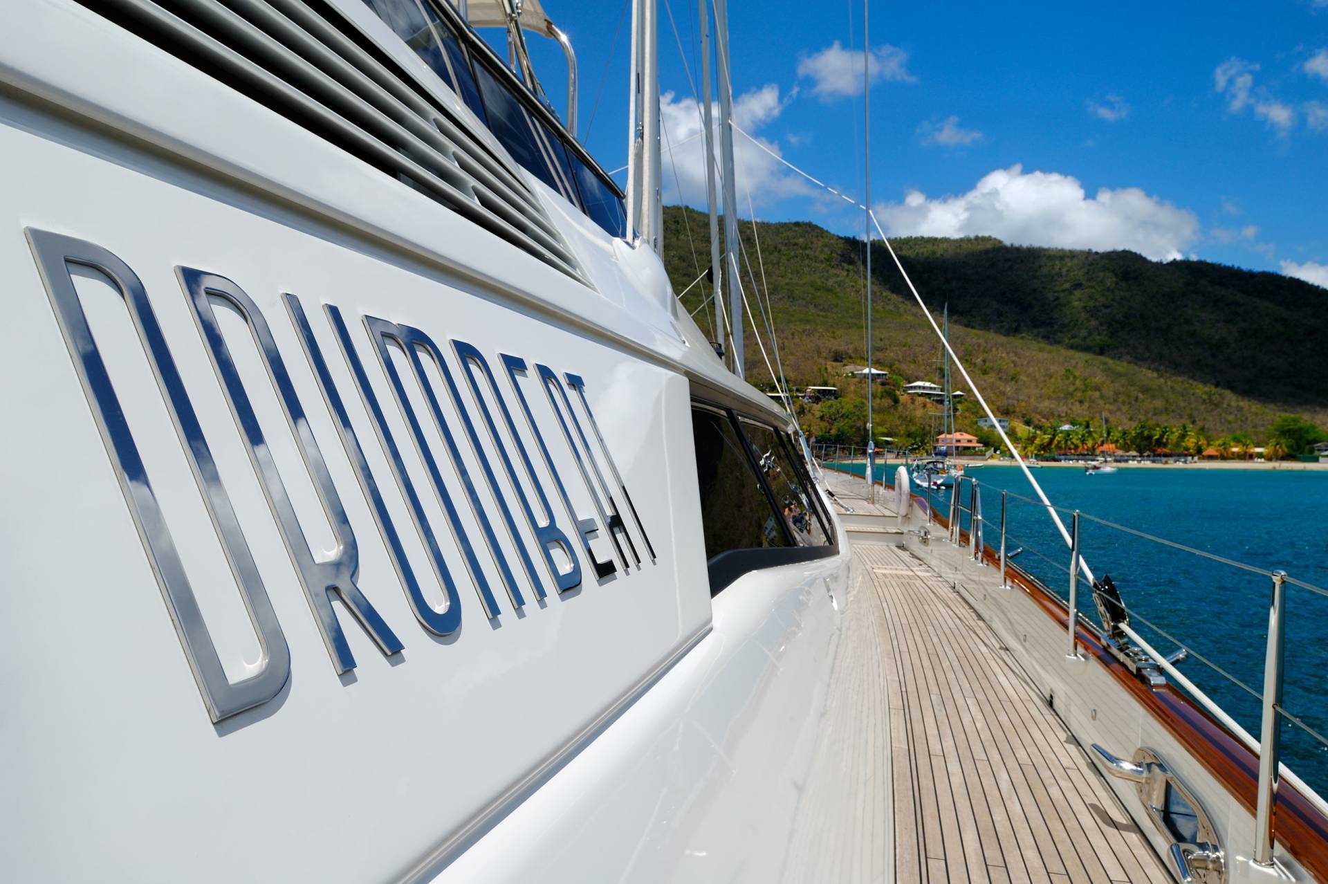  true sailing pedigree