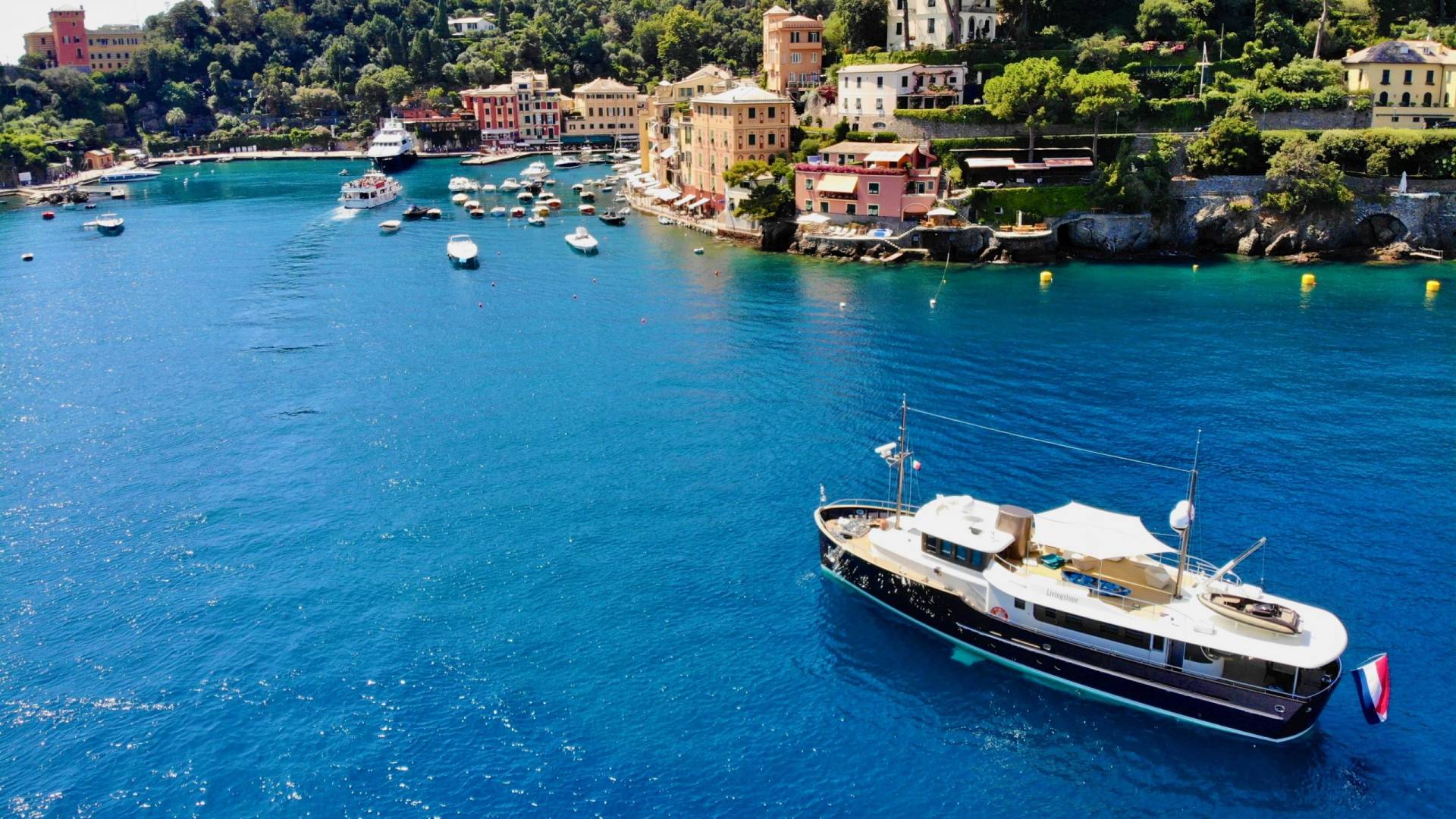 A Blend of Grace and Adventure