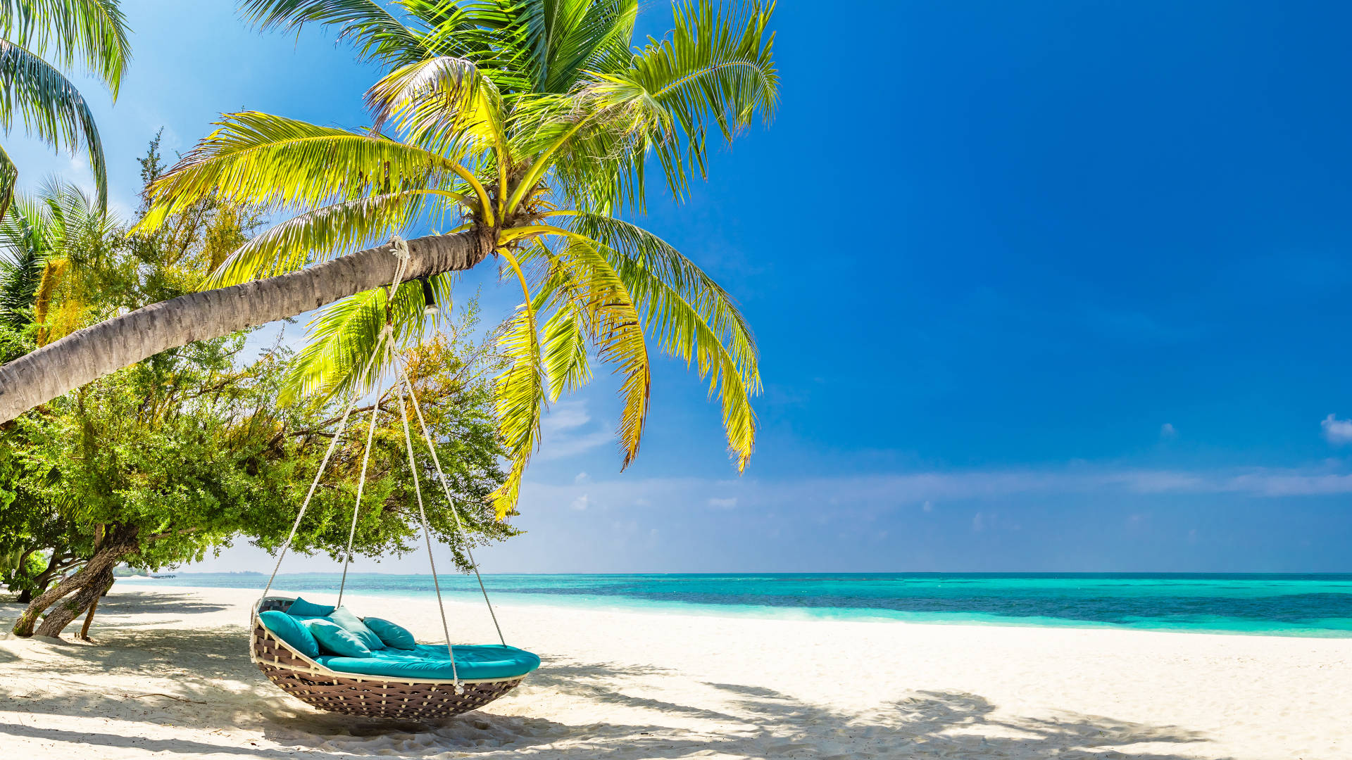 Ready to Fish the Bahamas