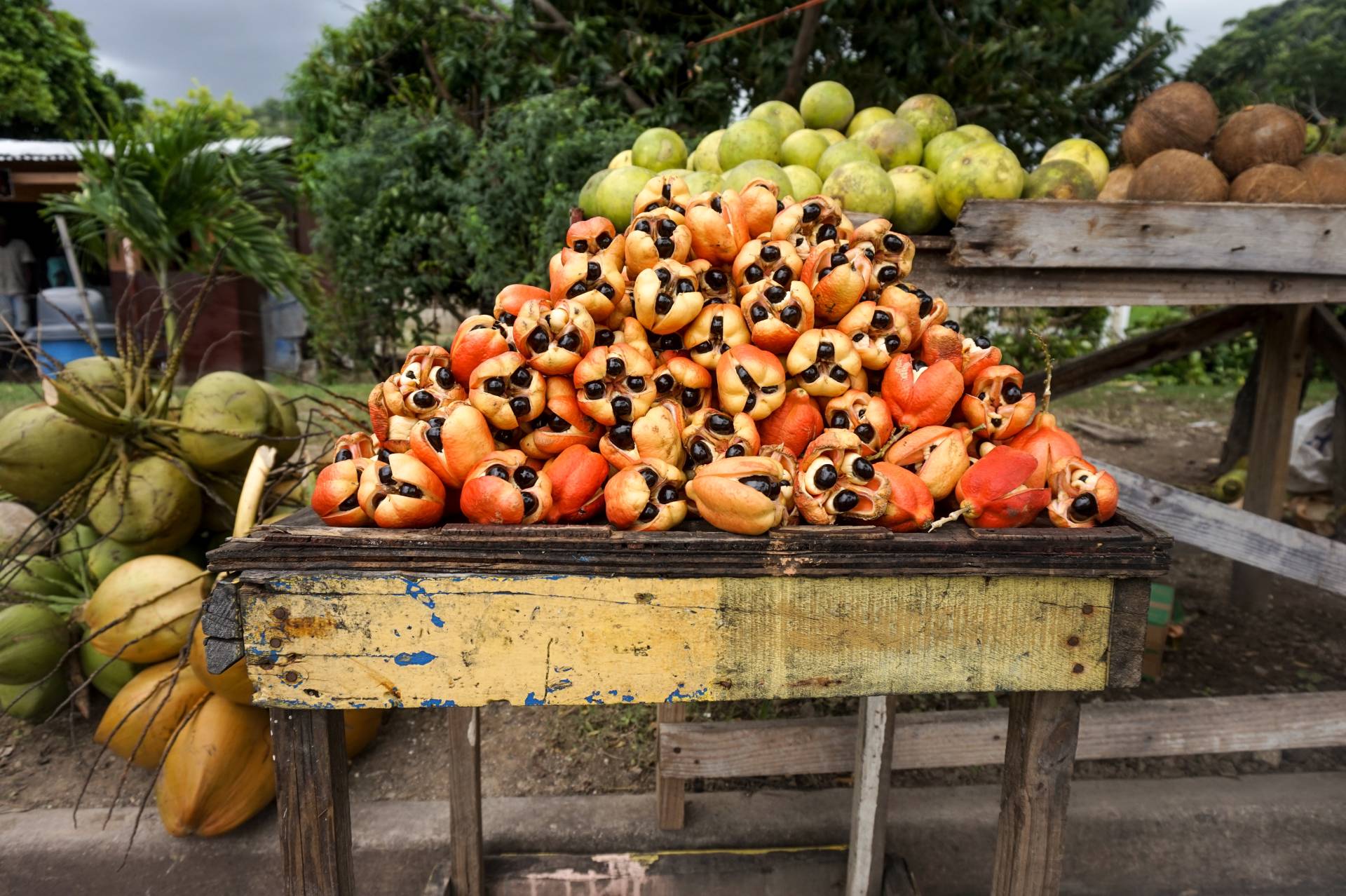 Are you ready for your Caribbean yacht charter experience? 