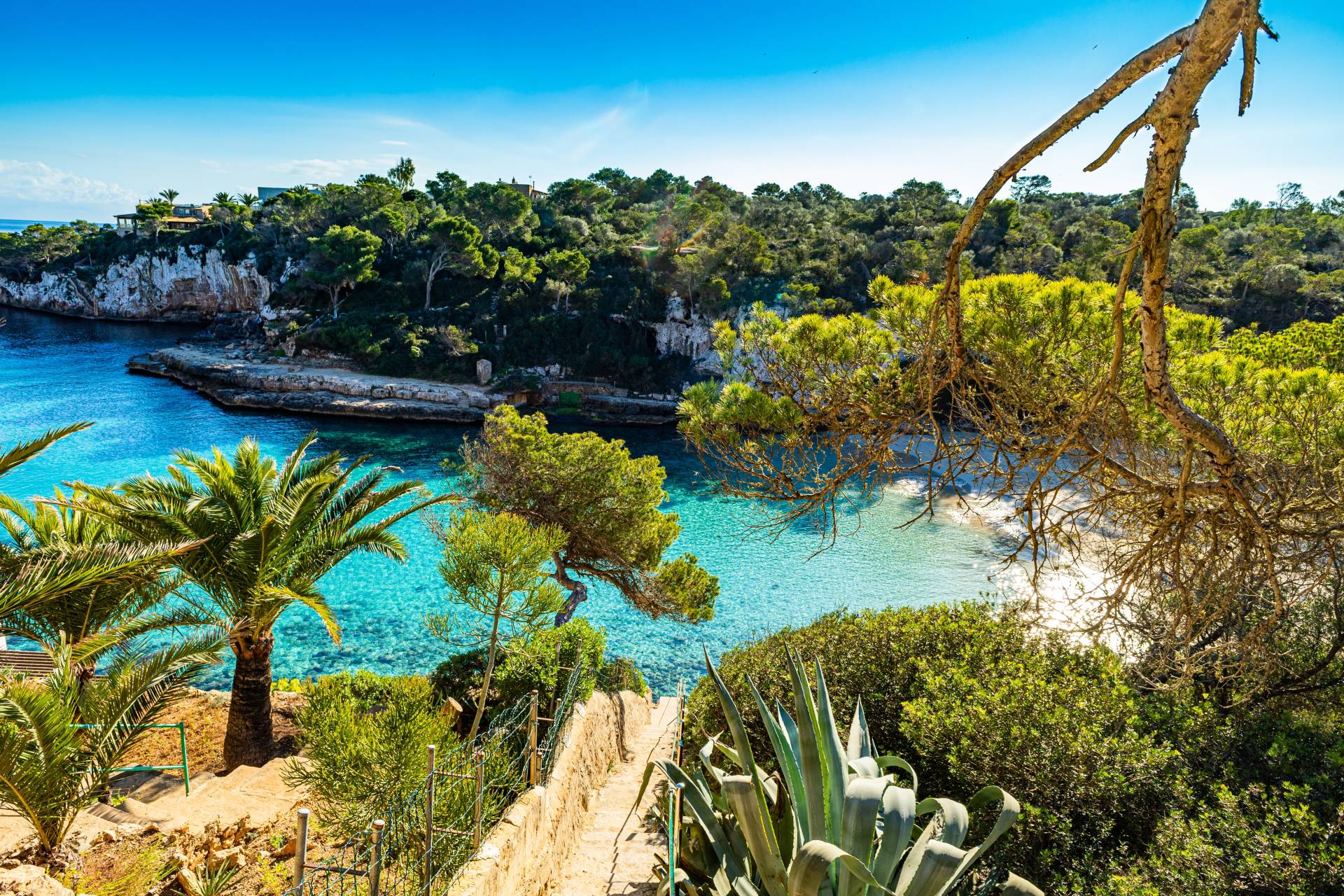 A lush, tropical landscape with a stunning turquoise bay, surrounded by rocky cliffs, palm trees, and vibrant vegetation in the foreground.