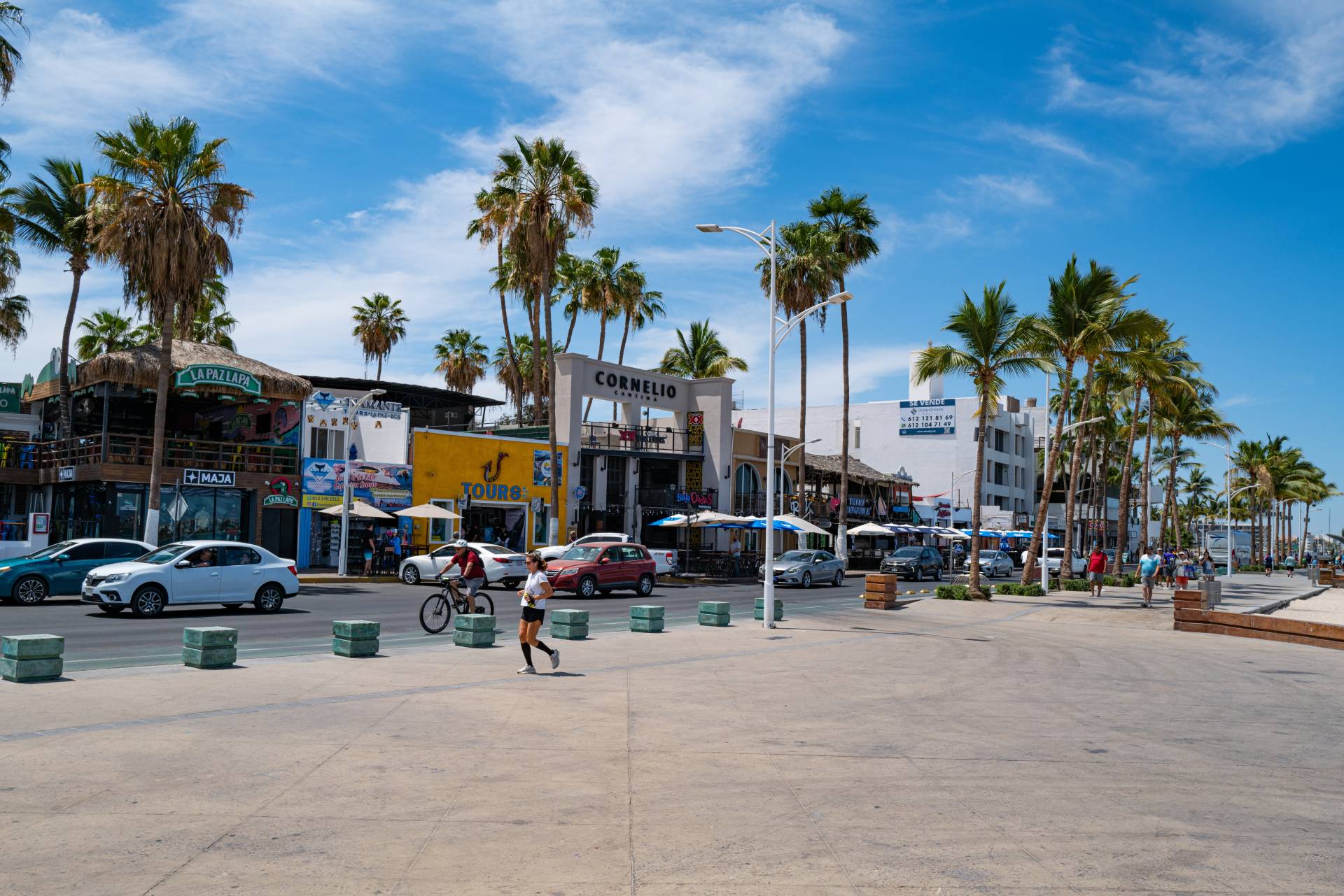 A paved walkway in the foreground leads to a street lined with palm trees and shops, with a bright blue sky overhead.