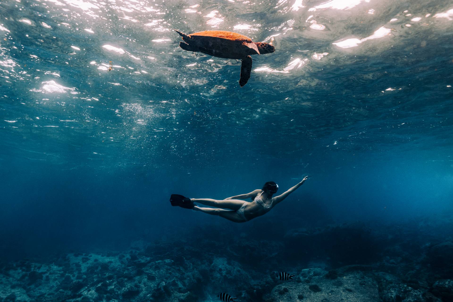 A person swims below a sea turtle in the deep blue ocean, with sunlight filtering through the water's surface.
