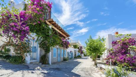 Vibrant bougainvillea cascades over whitewashed buildings lining a charming cobblestone street under a bright blue sky.