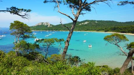 A tranquil bay with crystal-clear turquoise waters is dotted with sailboats and surrounded by lush green hills.