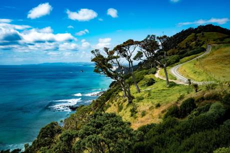 Epic New Zealand