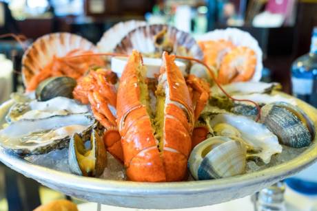 A vibrant platter of fresh seafood, featuring a split lobster, oysters, and clams on a bed of ice, offers a taste of the ocean's bounty.