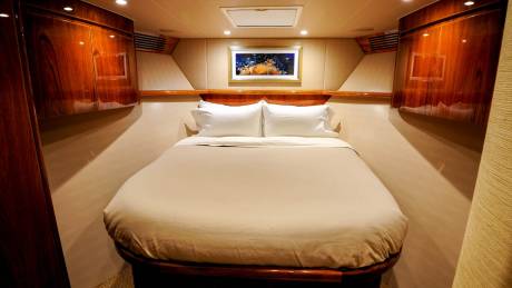 Luxurious wood-paneled cabins offer a serene retreat with comfortable bedding and ocean-themed artwork.