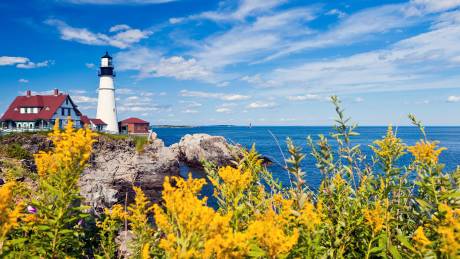 New York's Summer Playground