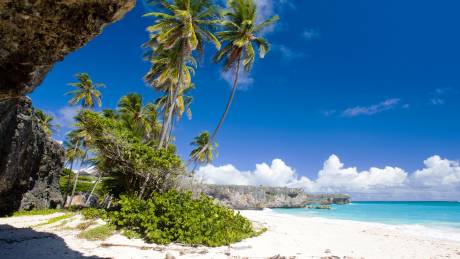 Jewels of the Caribbean