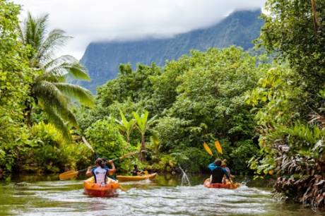 Kayak the Faaroa River
