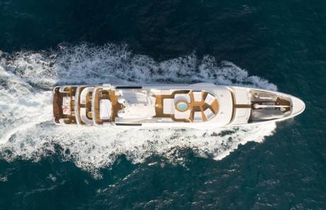 Timeless Amels pedigree