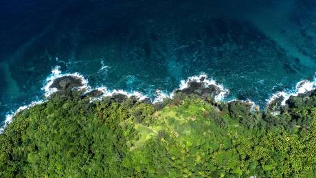 Life at its most vibrant