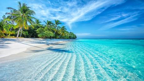 Turquoise waters lap gently on a pristine white sand beach fringed by lush palm trees under a bright blue sky.