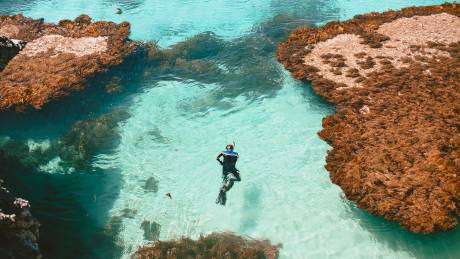 Australian coastal focus