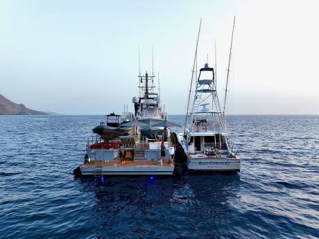 Support or Standalone Yacht