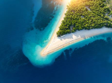 Sunlight bathes a pristine sandy beach fringed by lush green trees and crystal-clear turquoise waters.