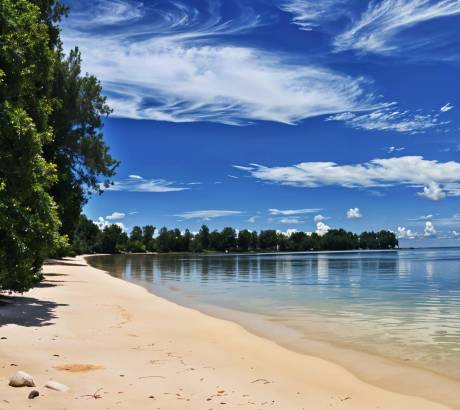 A sandy beach with lush green trees on the left leads to calm, clear water reflecting a bright blue sky with wispy clouds.
