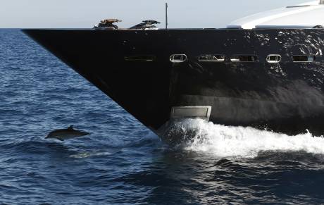 A dolphin leaps from the blue ocean in the foreground beside the bow of a large, sleek black yacht.