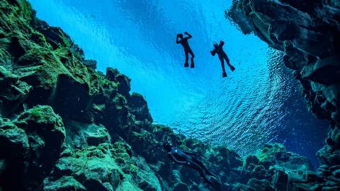 Divers explore a vibrant underwater canyon, their silhouettes stark against the sunlit, rippling surface.