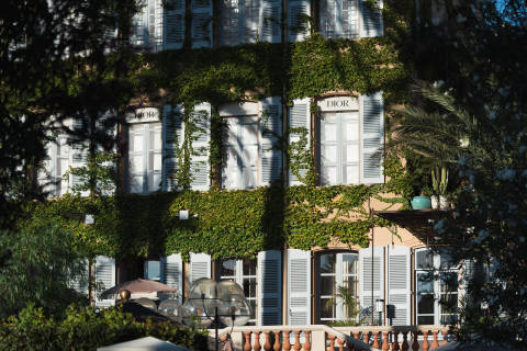 Lush green ivy covers the facade of a building with light blue shutters and windows, while a blurred foreground reveals foliage and a decorative railing.