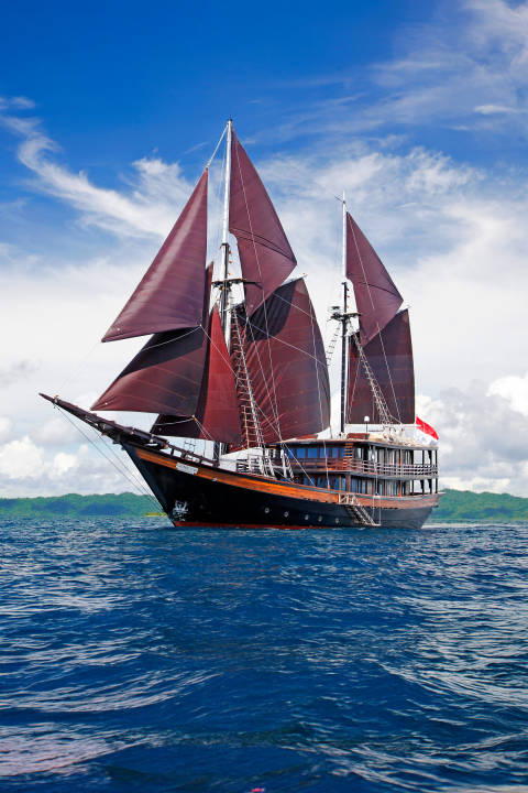 A majestic schooner with dark red sails glides across a deep blue ocean under a bright sky dotted with fluffy white clouds.