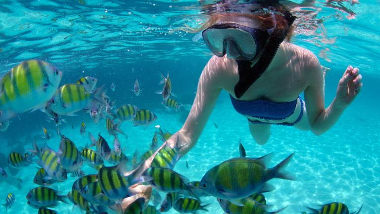Snorkeling
