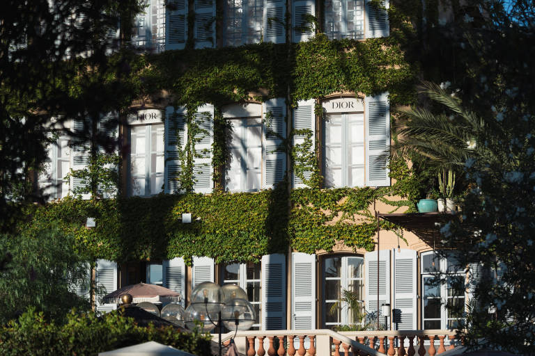 Lush green ivy covers the facade of a building with light blue shutters and windows, while a blurred foreground reveals foliage and a decorative railing.