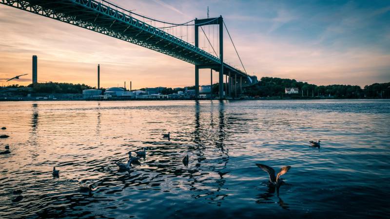 Seagulls glide over the calm water beneath a majestic suspension bridge at sunset.