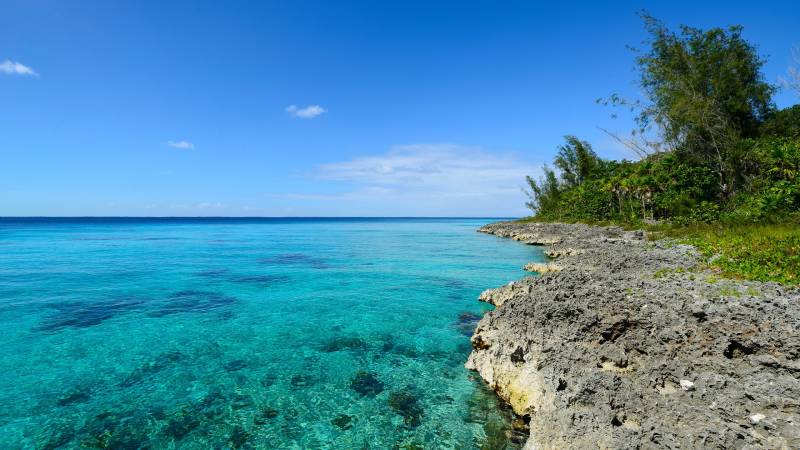Crystal-clear turquoise waters lap against the rugged, rocky coastline fringed with lush green vegetation under a brilliant blue sky.