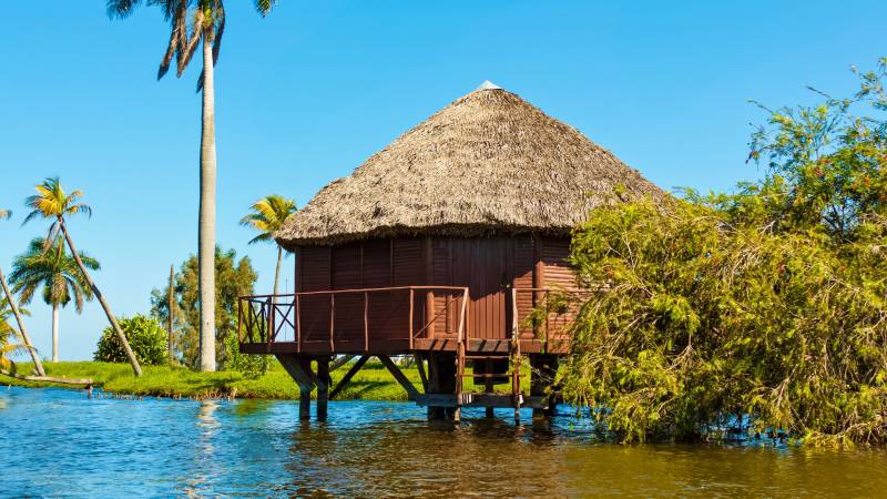A rustic wooden stilt house with a thatched roof sits over calm water, surrounded by lush tropical vegetation and palm trees under a clear blue sky.