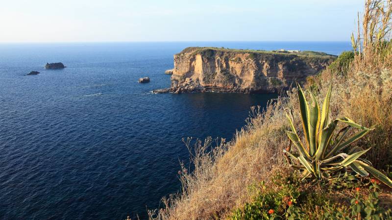 A dramatic cliffside overlooks the deep blue sea, with rugged islands dotting the horizon and a vibrant agave plant in the foreground.