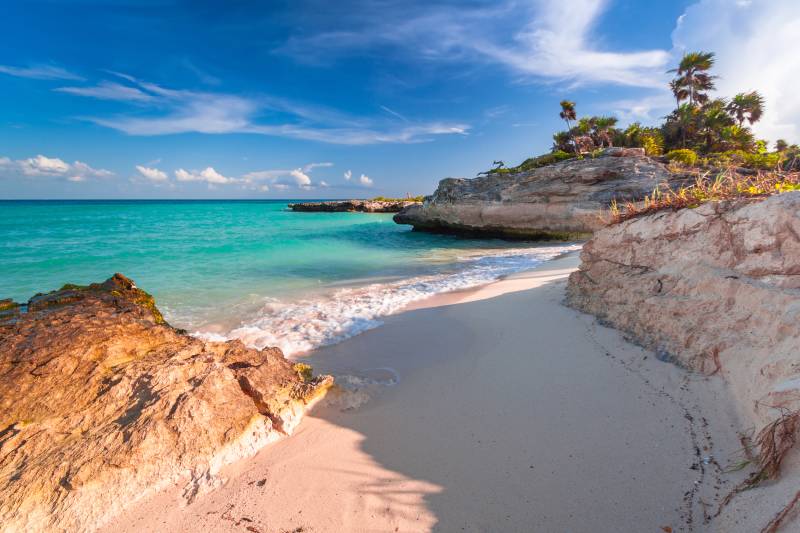Turquoise waves gently lap the sandy shore beside rugged cliffs topped with palm trees under a bright blue sky.