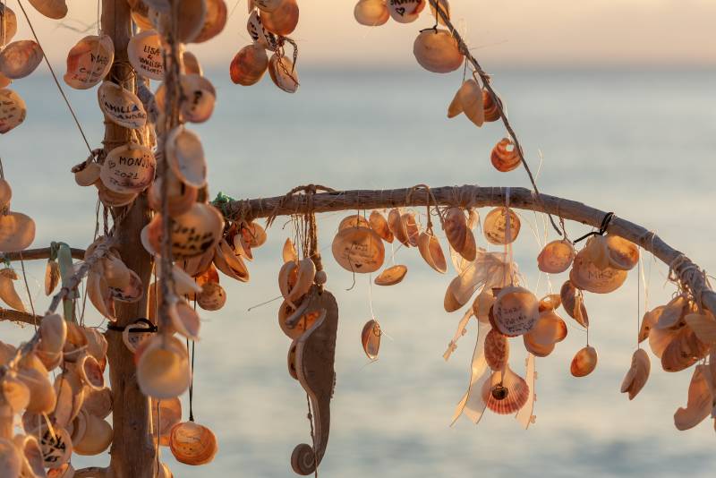 Shells and a seahorse ornament hang from a driftwood branch in the foreground, with a soft, blurred ocean and sky in the background.